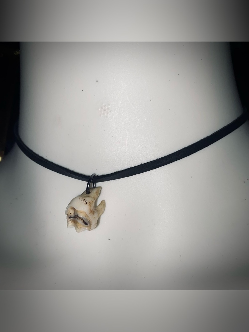 Deer tooth choker